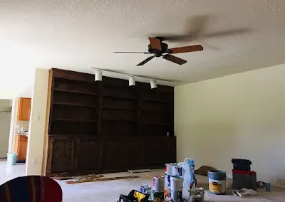 Professional Painter